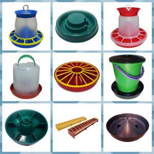 ����������� ���������� 1. ���� ����������� ��������: �������� � ������ ��� �������� �����