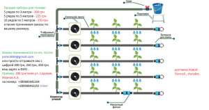 ����������� ���������� 1. ��� ��� ������