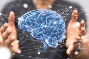 ����������� ���������� 1. �������,������� ������������,�������,��������