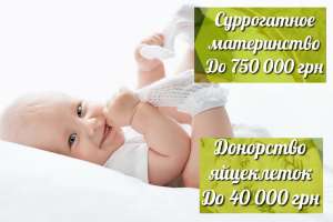 ����������� ���������� 1. ����� ����� �����������. ��������� �����������. ��������� ���������