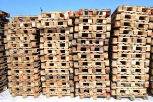Изображение объявления 1. Поддоны деревянные высокая цена продать бу в Брянске