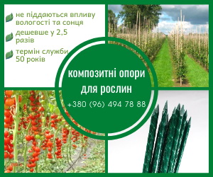   1. POLYARM -       .   