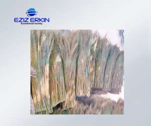 ����������� ���������� 1. ����� ��� ������������ �������