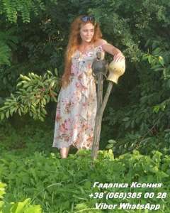 ����������� ���������� 1. �������� �������� �������. ������ ����� �������.