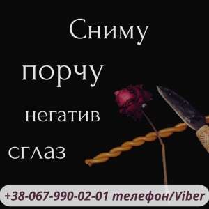 ����������� ���������� 1. �������� ��������.�������� . ������ �����. ������ ������������. ���������� ������. ������� .