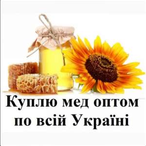 Изображение объявления 1. Куплю мед, закупка меду оптом, вся Україна!
