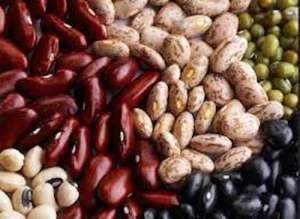 Изображение объявления 1. Sell ​​beans Bandolya, White round, Kidni, Mavka, etc.