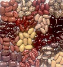Изображение объявления 1. Dodávky fazolí z Ukrajiny