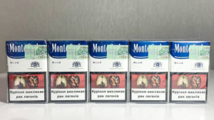   1. Monte Carlo -    