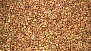 ����������� ���������� 1. ������� (��������� ����� - 5 ����)