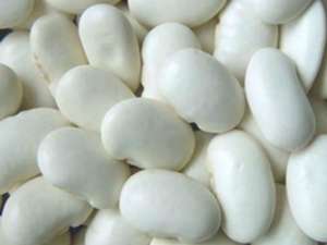 ����������� ���������� 1. ������� ����� ����� (����)