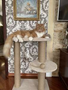 ����������� ���������� 1. ��������� ��� ������. ������, ��������