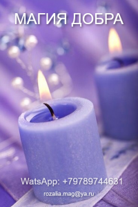 ����������� ���������� 1. �������� � ������. ������ ���� � ������. ������ �������� �� ����������